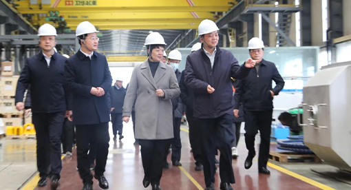 張寶娟書記視察邁安德春節(jié)后復工復產(chǎn)情況