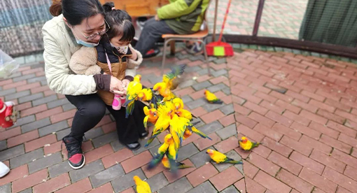 邁安德女員工2023踏青之旅