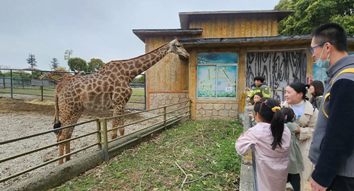 邁安德女員工2023踏青之旅