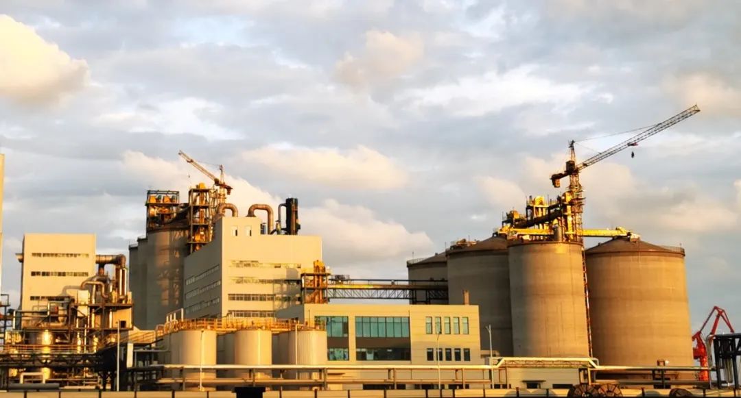 青島渤海董家口6000T/D大豆智慧工廠順利驗收
