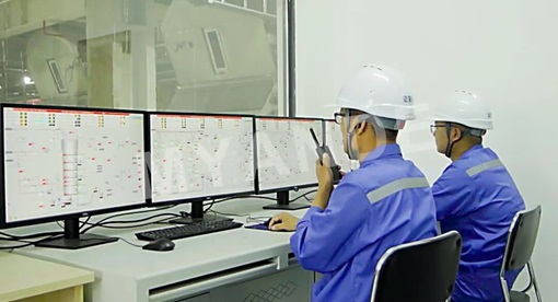 邁安德承建的路易達(dá)孚年加工96萬噸智能榨油廠